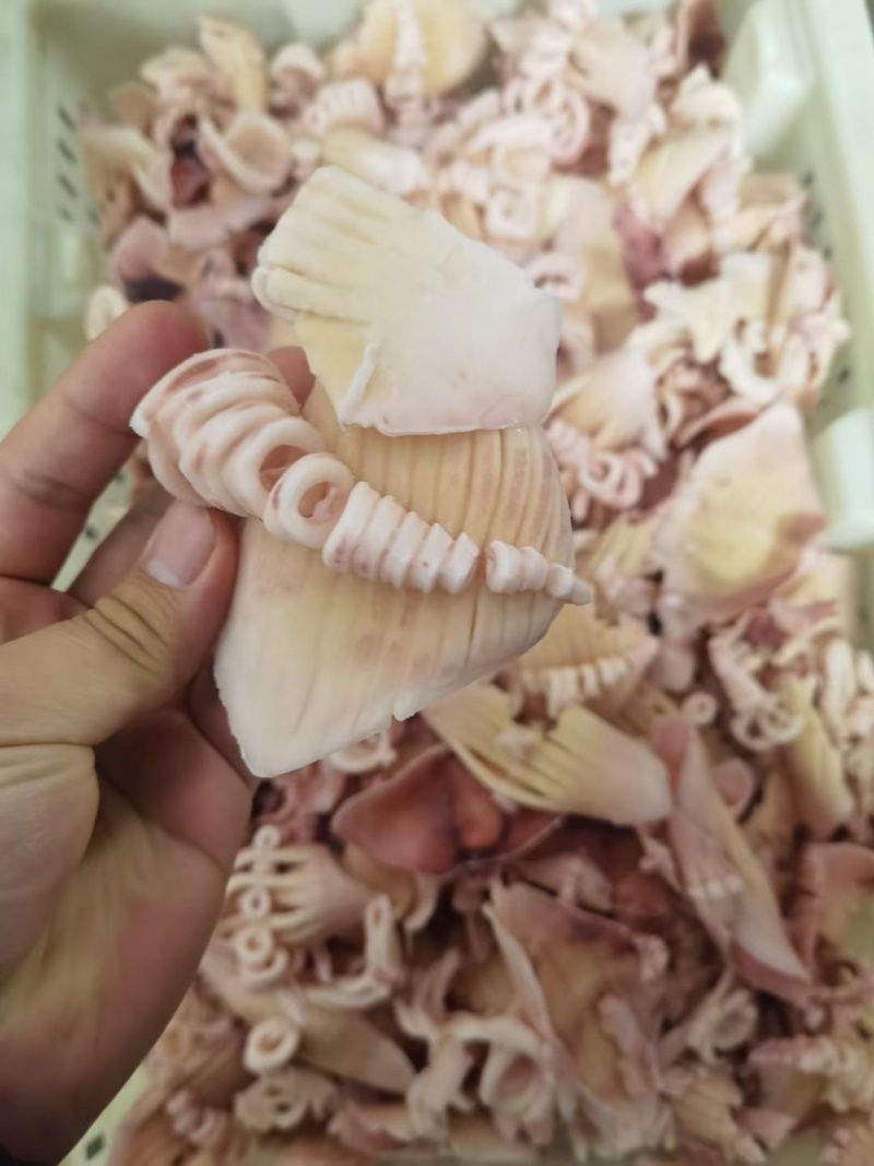 各种食堂必备品