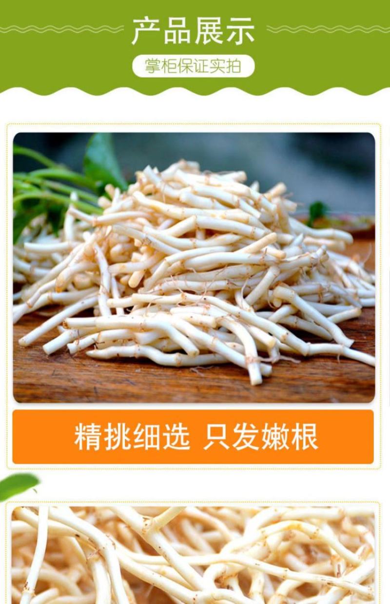 鱼腥草湖北鱼腥草产地视频，产地看货，欢迎大家前来采购