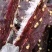 里脊肉手撕风干肉牛肉味十足跑江湖批发地摊产品