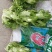 儿菜，四川儿菜，抱儿菜，子母菜。。。。。。。。。。。。。