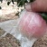 河南苹果，红富士，产区供电商，市场，品质把控，可视频看货