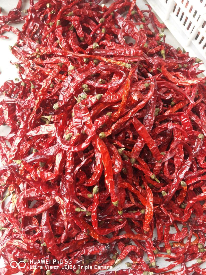 剪把二荆条