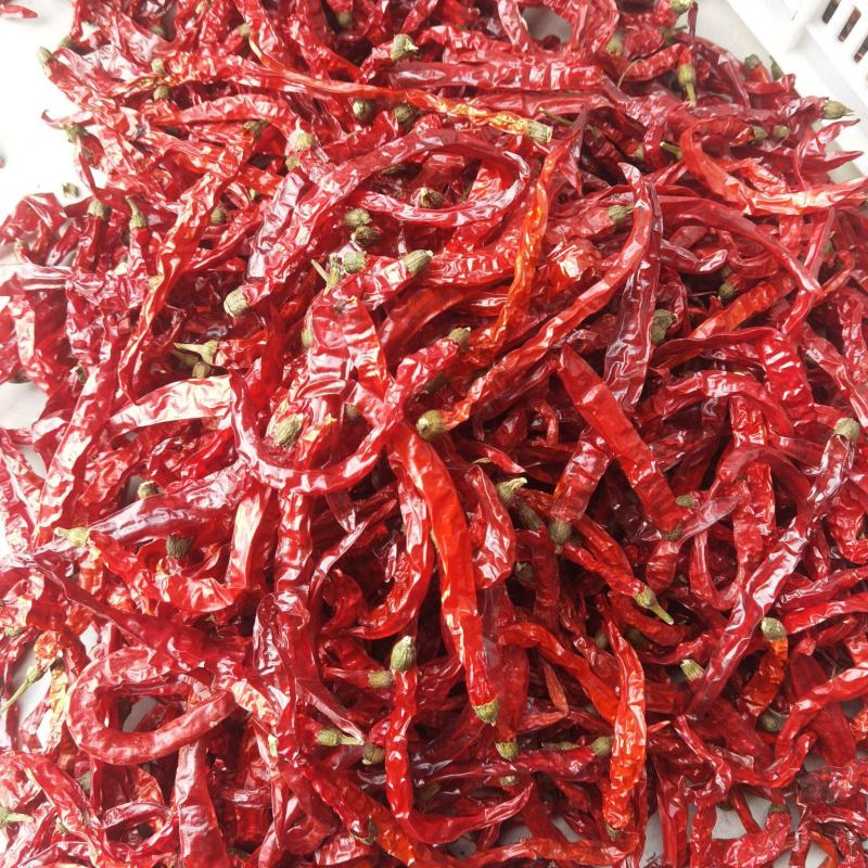 剪把二荆条