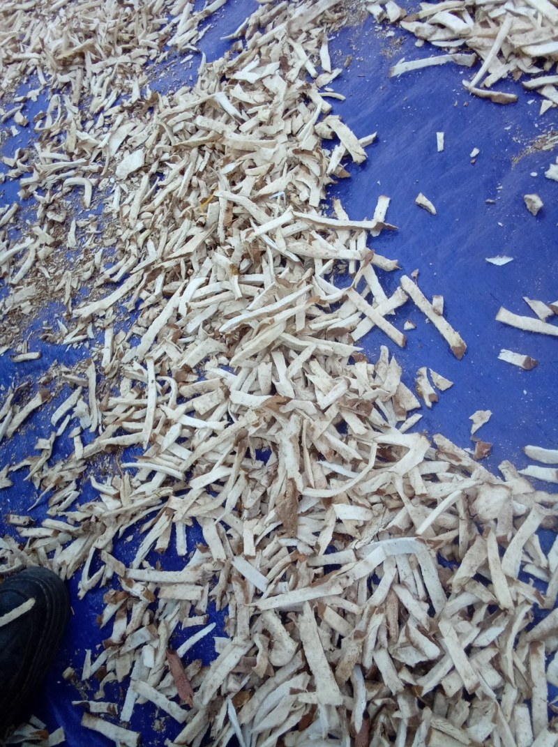 萆薢丝，萆薢，萆薢片