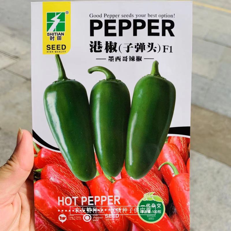 墨西哥辣椒种子时田港椒子弹头辣椒种子味道浓辣，腌渍加工