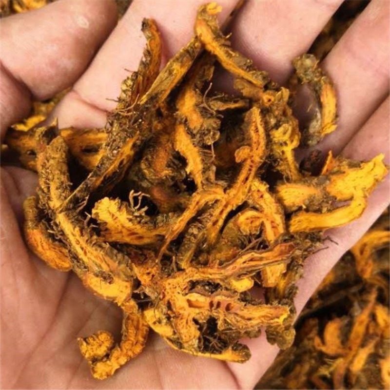 中药材无硫黄连黄连片各种规格供应。欢迎老板考察