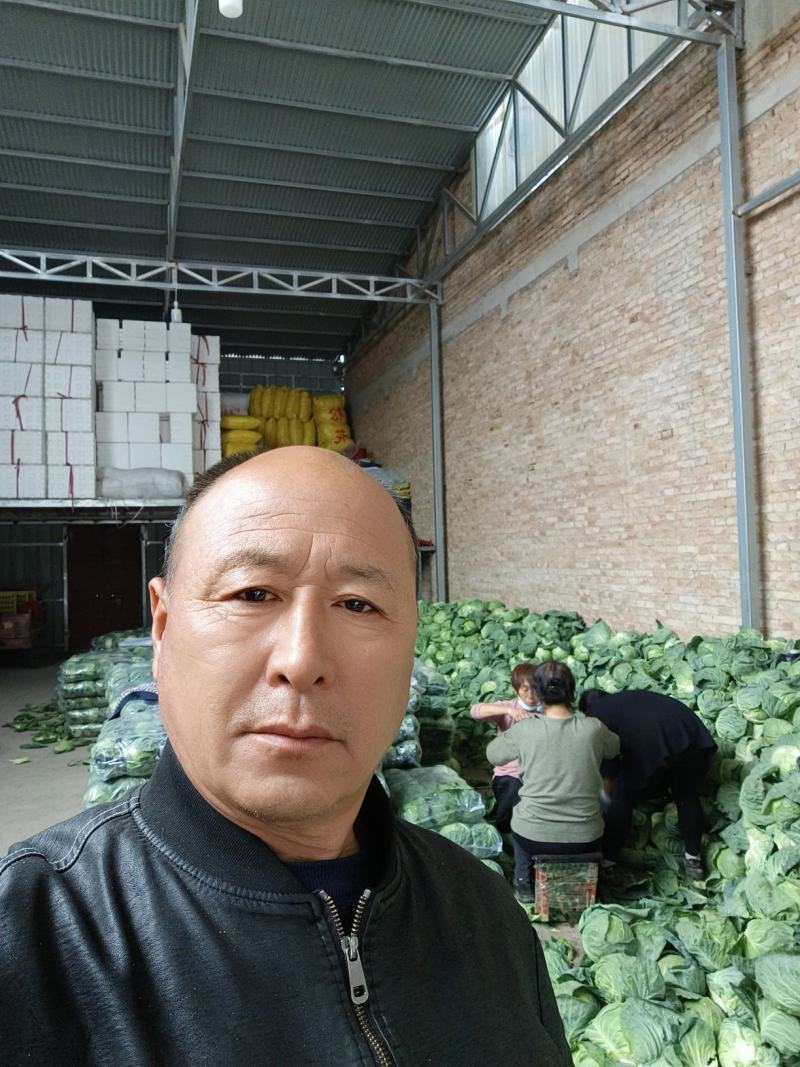 甘蓝类品质质好量大。精品货源，产地直供。