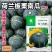 荷兰板栗南瓜种子农户农家庭院阳台均可种植蔬菜种子