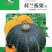 荷兰板栗南瓜种子农户农家庭院阳台均可种植蔬菜种子