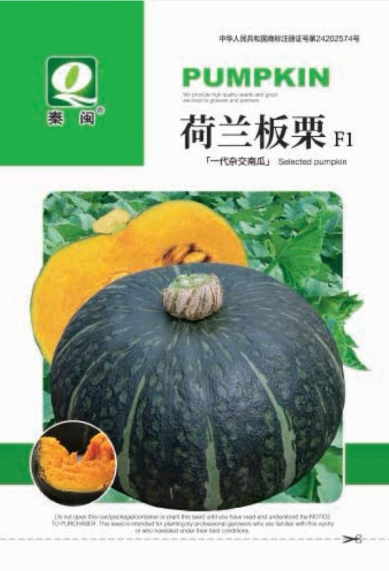 荷兰板栗南瓜种子农户农家庭院阳台均可种植蔬菜种子
