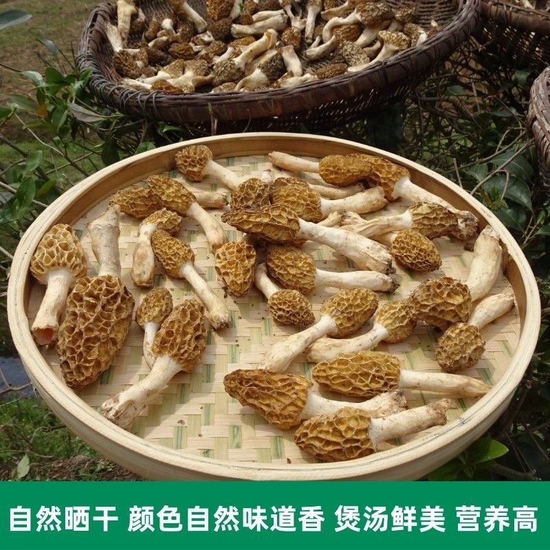 新货纯野生羊肚菌干货深山自采羊肚蘑菇煲汤食材食用菌