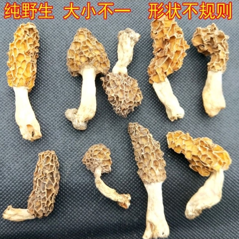 新货纯野生羊肚菌干货深山自采羊肚蘑菇煲汤食材食用菌