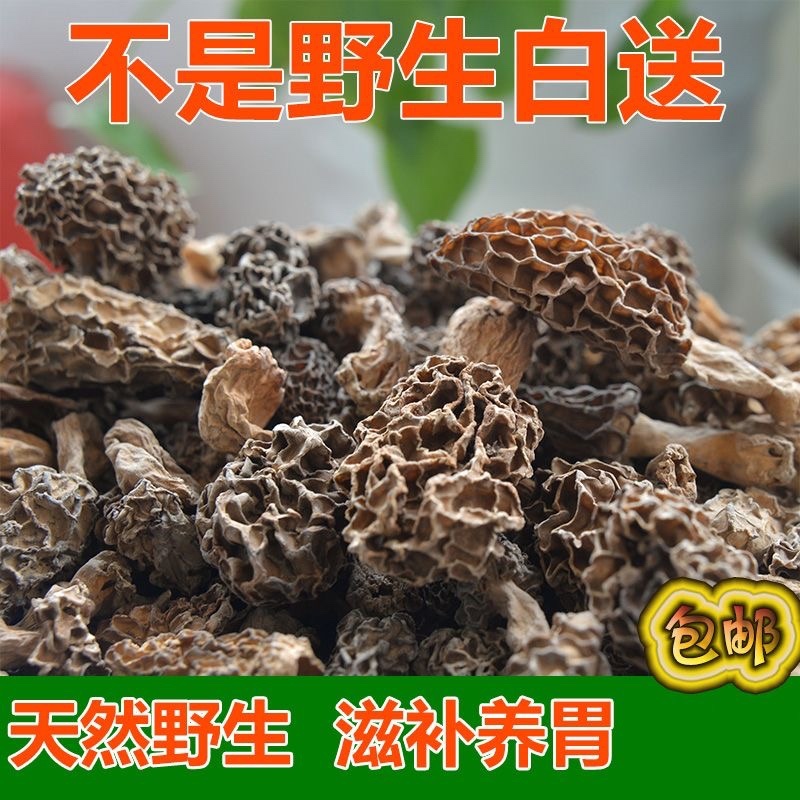 新货纯野生羊肚菌干货深山自采羊肚蘑菇煲汤食材食用菌