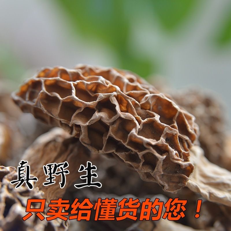 新货纯野生羊肚菌干货深山自采羊肚蘑菇煲汤食材食用菌