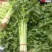 精品芹菜，香芹大量有货，需要的联系代发全国保障质量