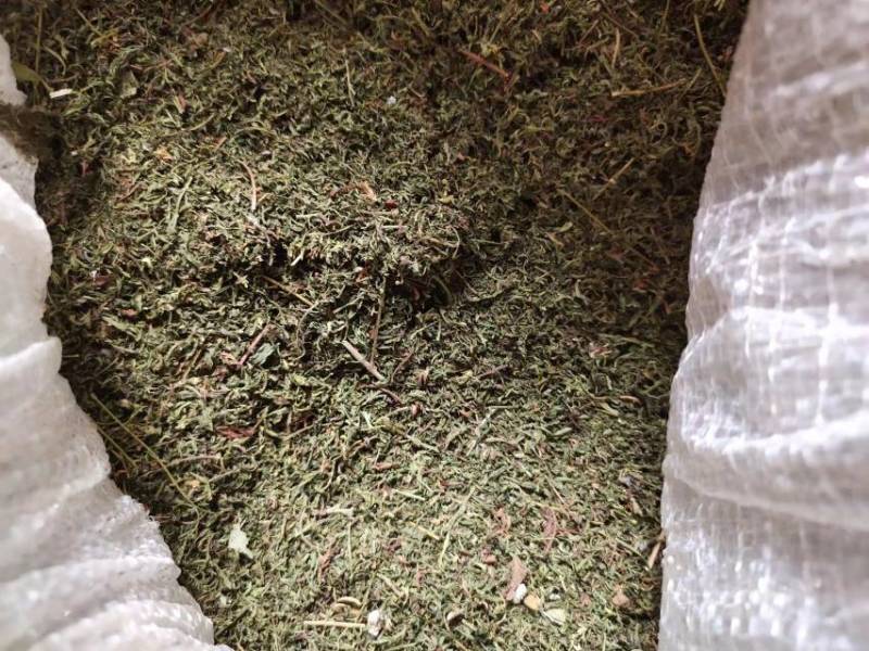 【自然晒高】青蒿叶，野生蒿叶无杂质大量现货，对接各大药厂
