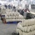 湖北沙洋梦宇农产品种植专业合作社，欢迎新老客户参观指导！