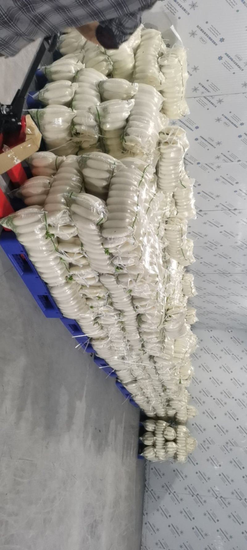 湖北沙洋梦宇农产品种植专业合作社，欢迎新老客户参观指导！