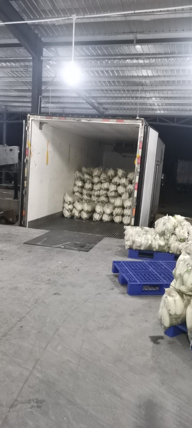 湖北沙洋梦宇农产品种植专业合作社，欢迎新老客户参观指导！