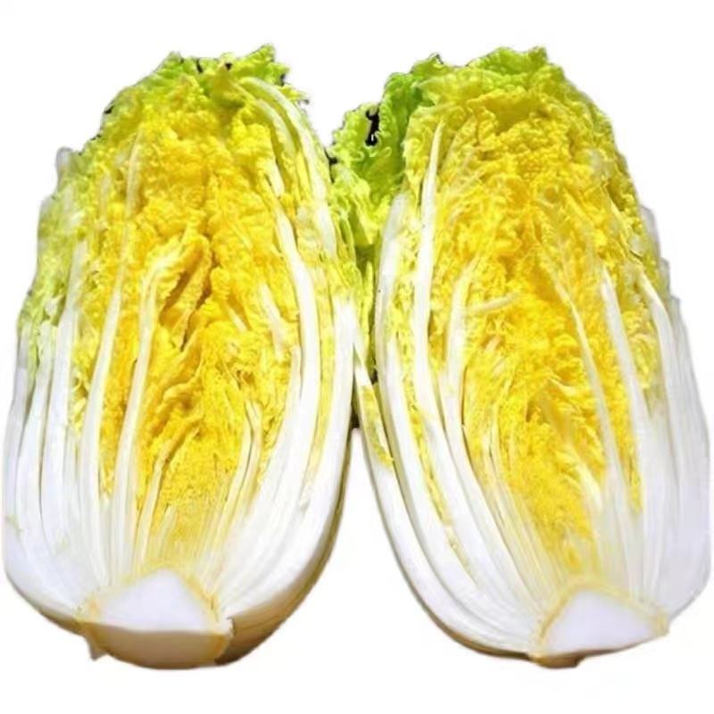 娃娃菜。精品大娃小娃。场地库房齐全。保质保量。欢迎采购。