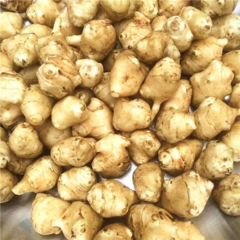 洋姜菊芋鬼子姜产地发货白皮红皮品种齐全