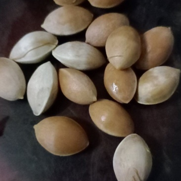 白果