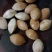 白果