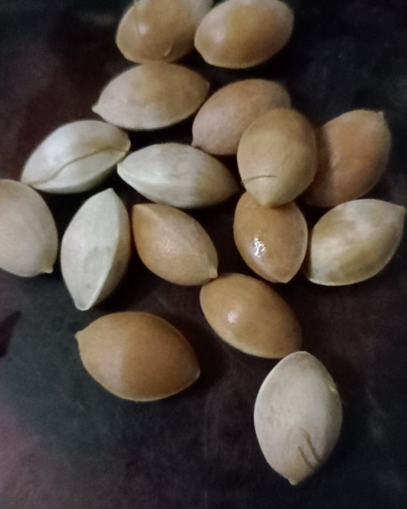 白果