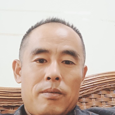 六号莲藕