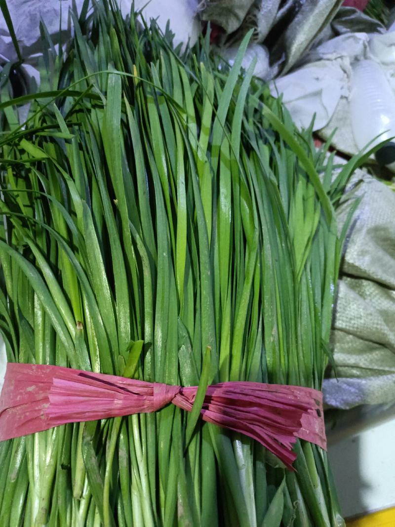 精品韭菜产地直发，货源充足！