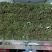 精品韭菜产地直发，货源充足！