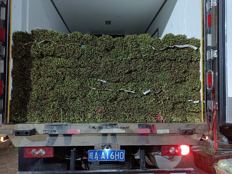 精品韭菜产地直发，货源充足！