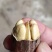新鲜碧根果