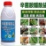辛菌胺醋酸盐穿孔流胶溃疡病细菌农药果树蔬菜杀菌剂