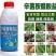 辛菌胺醋酸盐穿孔流胶溃疡病细菌农药果树蔬菜杀菌剂
