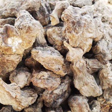 洋姜干菊芋干洋姜个子鬼子姜干品基地直发可代工