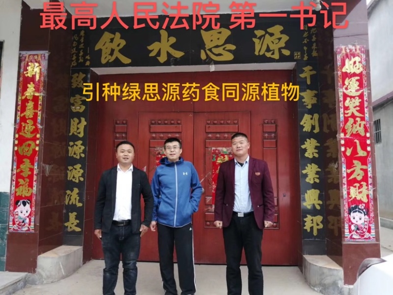 洋姜干菊芋干洋姜个子鬼子姜干品基地直发可代工