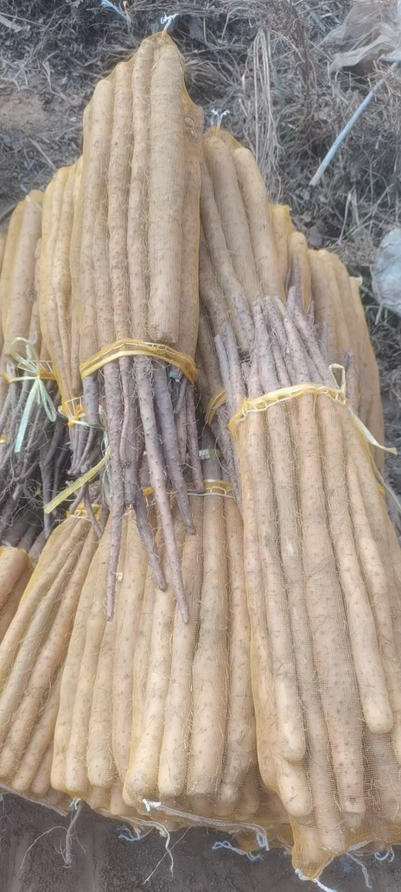 白玉山药，双胞山药网袋货，精选小货无夹心，一袋五斤左右