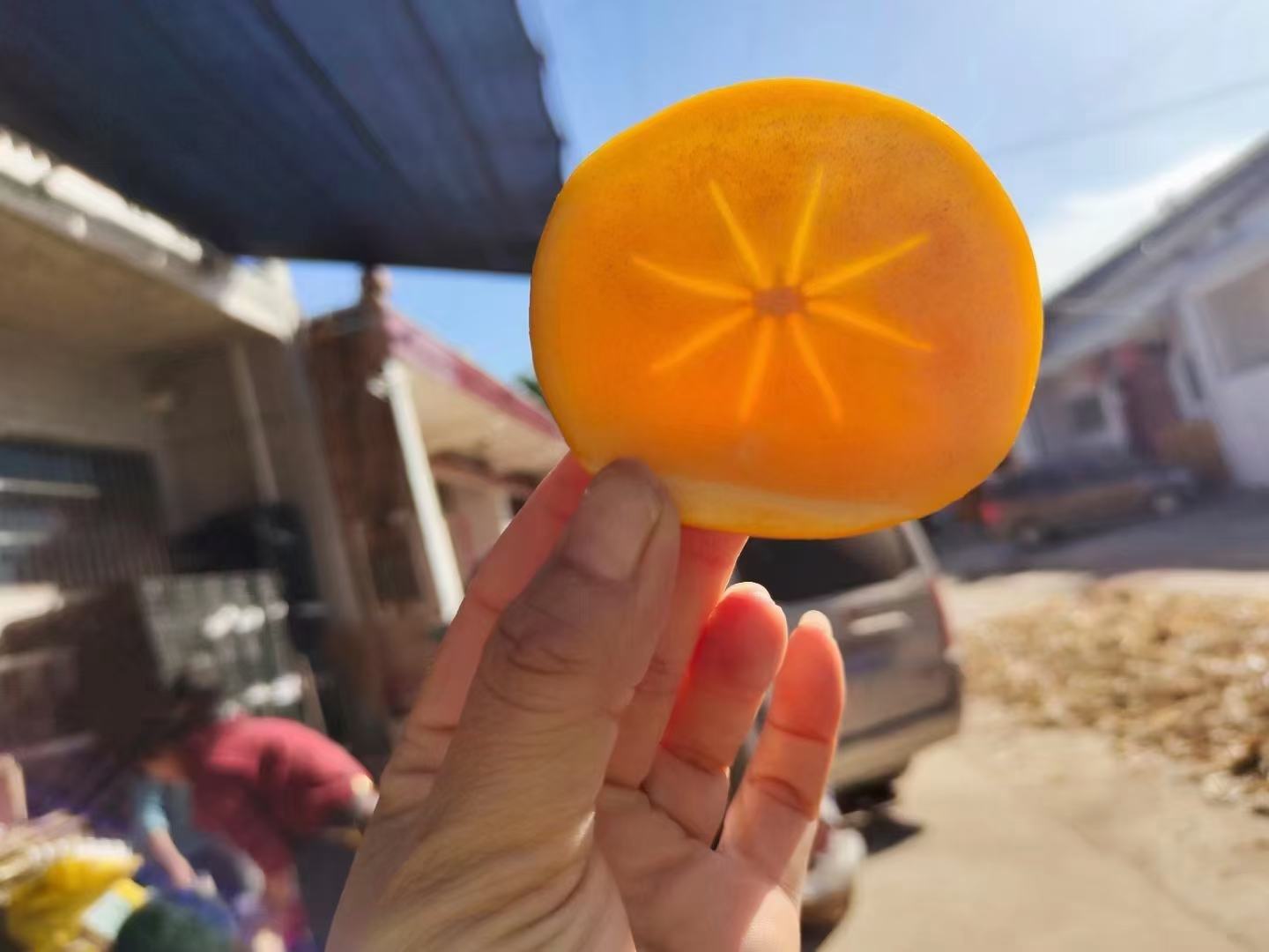 柿子切片与咖啡杯特写