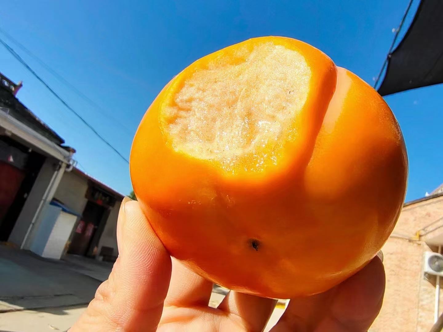 脆柿外观特写