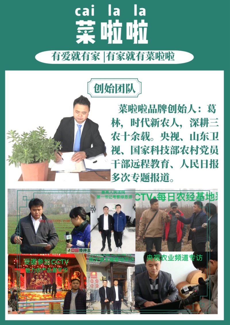 【推荐】菊芋洋姜鬼子姜产地发货质量保证欢迎联系