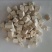 （热销)茯苓产区直供货源充足量大从优视频看货全国发货欢迎订购