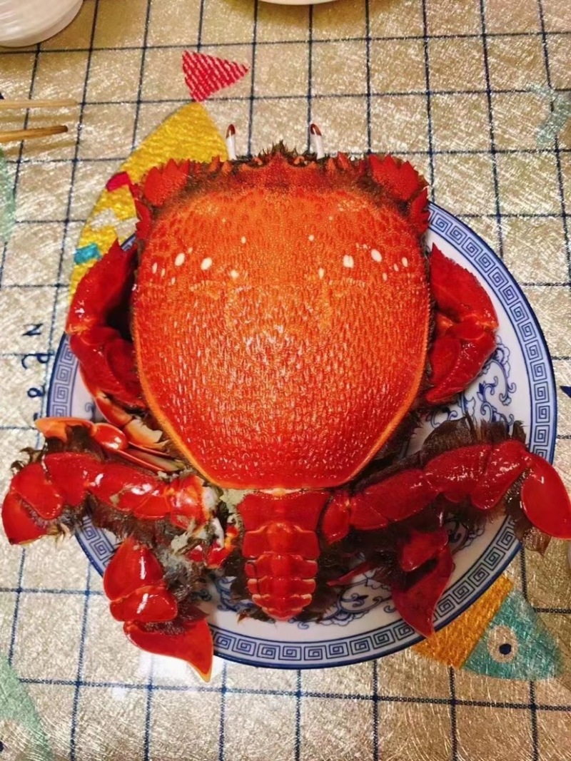 老虎蟹蛙型蟹