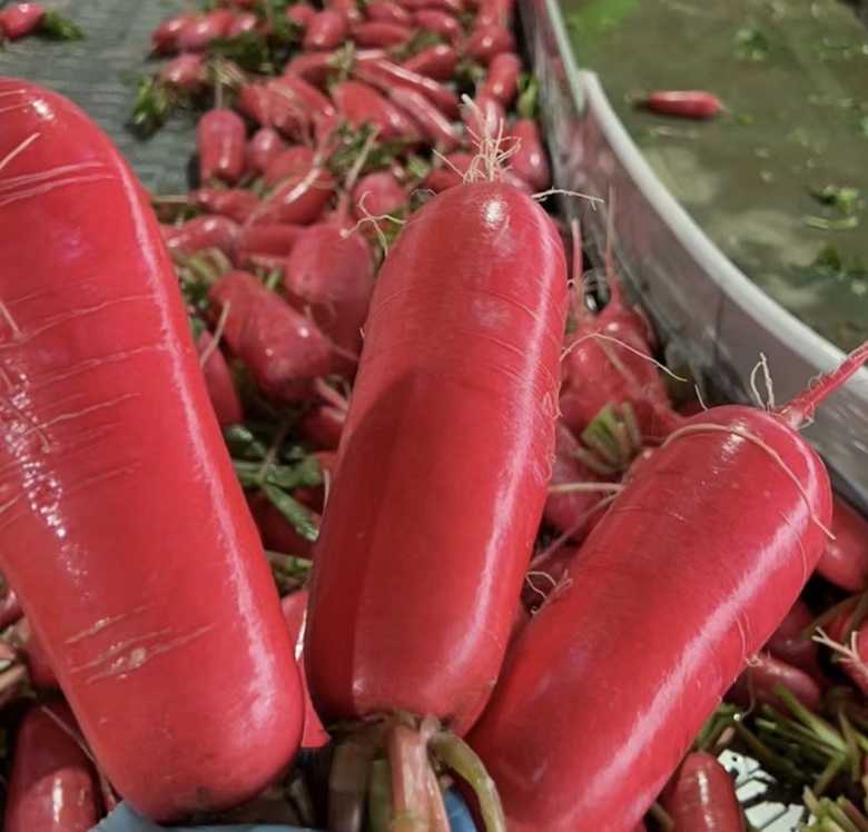 红烧白萝卜成品图