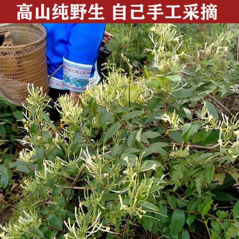 【牛商优选】精品金银花干净无杂条形整齐甄选原料荐