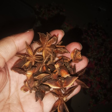 广西深山大红八角，香味十足，