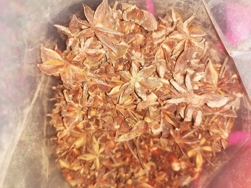 广西深山大红八角，香味十足，
