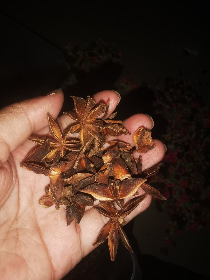 广西深山大红八角，香味十足，