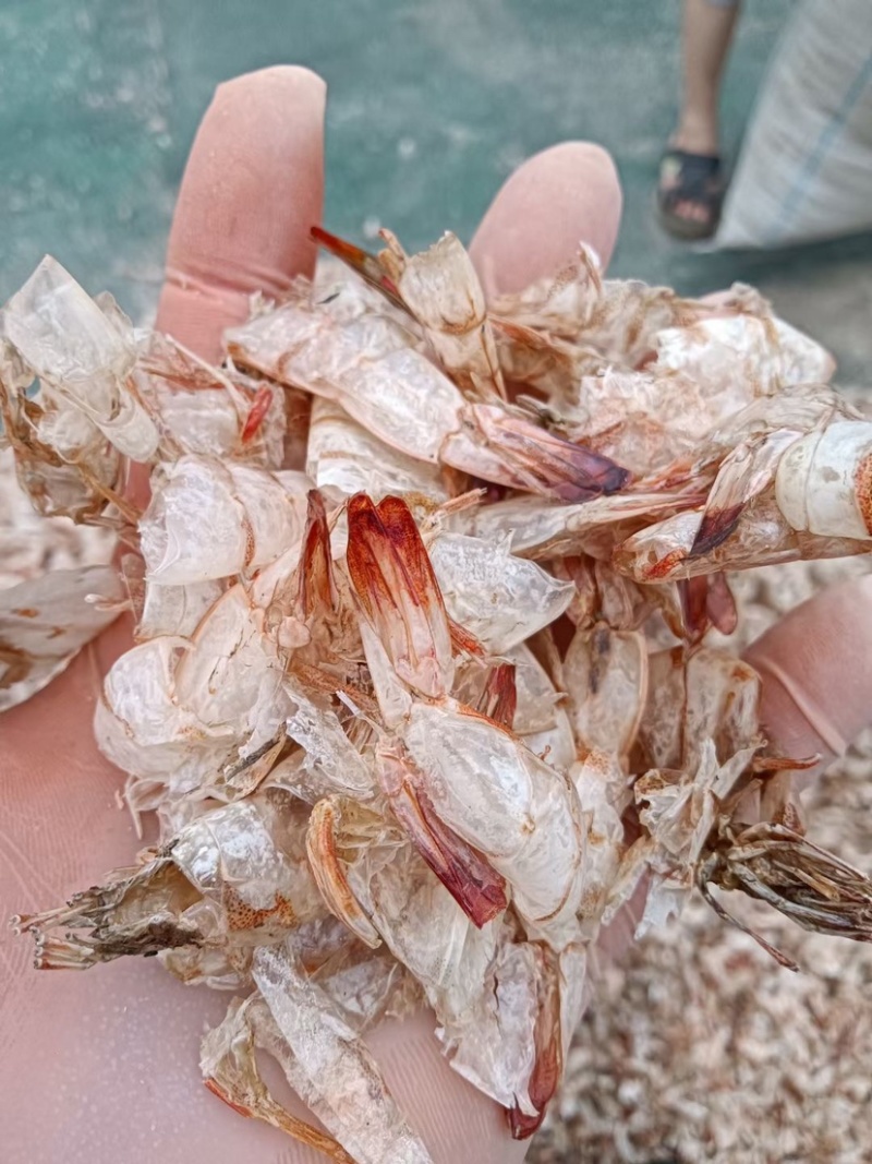 天然晒基围虾皮虾壳饲料辅料添加喂鸡喂猪饲料虾皮壳