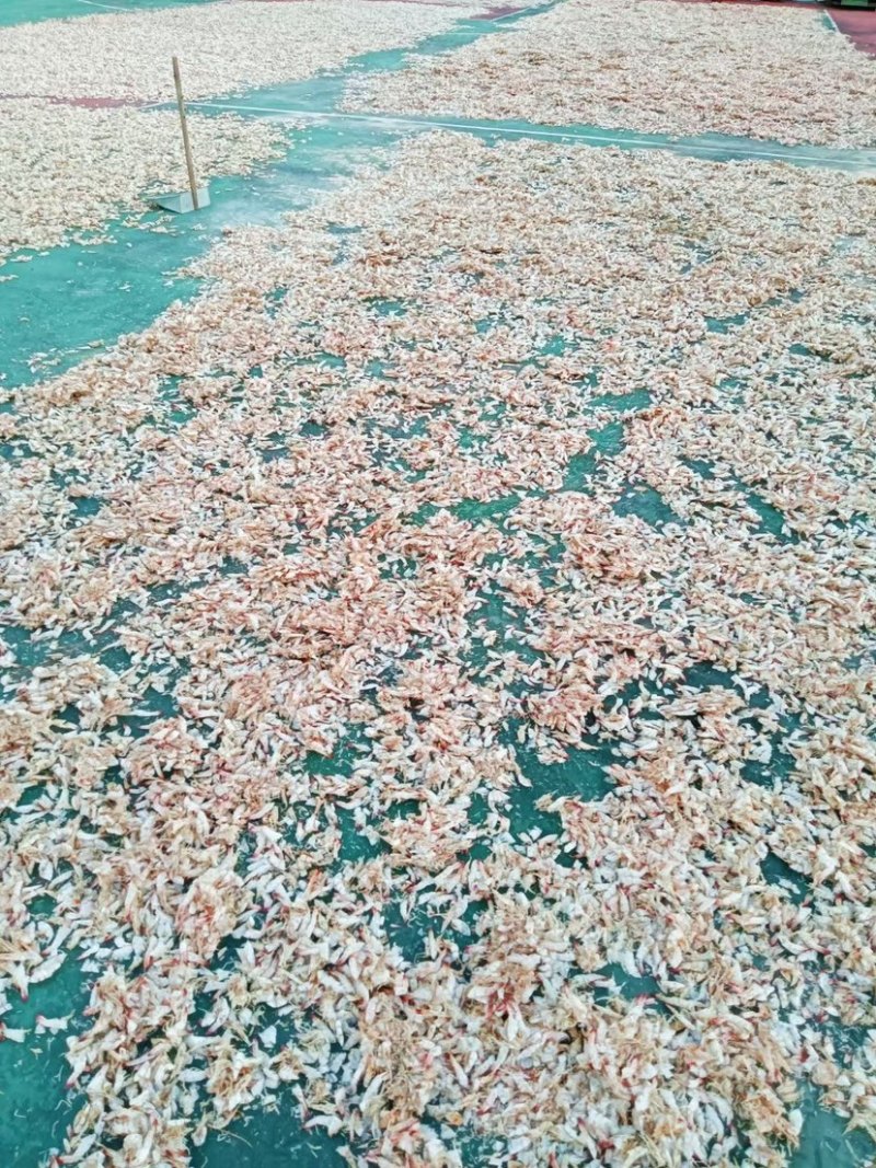 天然晒基围虾皮虾壳饲料辅料添加喂鸡喂猪饲料虾皮壳